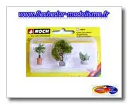 3 plantes d'ornement NOCH