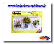 3 plantes d'ornement NOCH