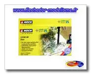 9 plants de fougère NOCH