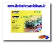 16 plants de roseaux NOCH