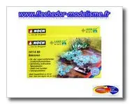 60 cm² de nénuphars NOCH