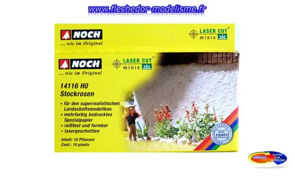 10 plants de primerose NOCH