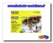 6 plants de rosiers grimpants NOCH