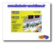 16 plants de hostas NOCH