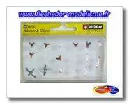 Poules, coqs et oies NOCH