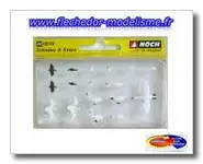 Cygnes et canards NOCH