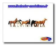 Chevaux lourds et demi-sang de FALLER