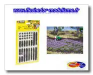 18 bandes et 18 touffes de lavande NOCH