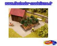 6 plants de tomates NOCH