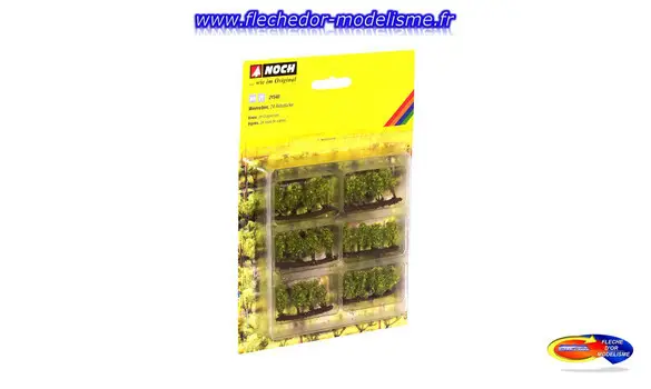 24 ceps de vignes NOCH