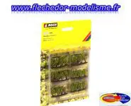 24 ceps de vignes NOCH