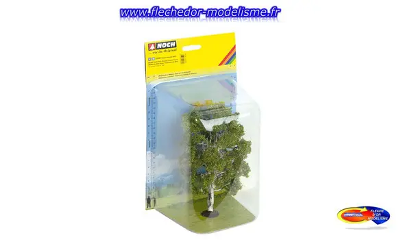 Bouleau à double tronc NOCH