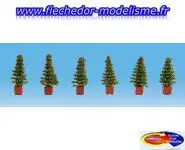 6 thuyas en pot NOCH