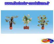 3 plantes Méditerranéennes en pot NOCH