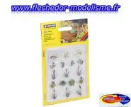 17 plantes aquatiques NOCH