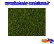 Foliage de pré, vert moyen NOCH