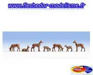 Chevreuils et leurs petits NOCH