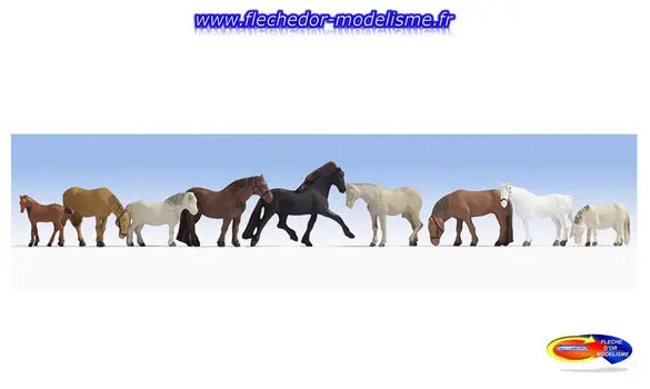 Chevaux sauvages NOCH