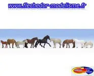 Chevaux sauvages NOCH