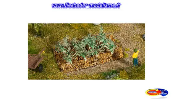 12 plants de poireaux NOCH