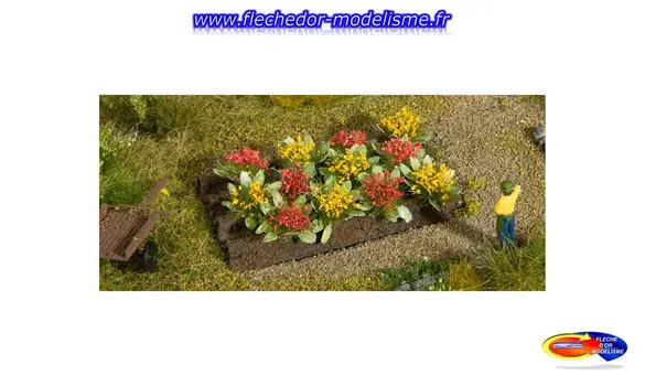 12 plants de massifs de rose NOCH