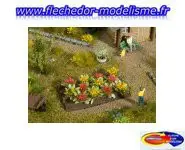 12 plants de massifs de rose NOCH