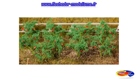 18 plants de tomate FALLER