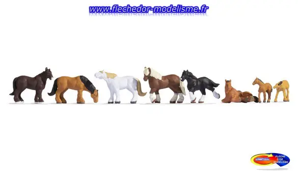 8 chevaux de trait NOCH