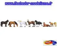 8 chevaux de trait NOCH