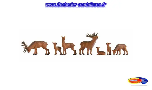 Cerfs et faons NOCH