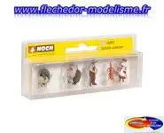 Tonte de moutons NOCH