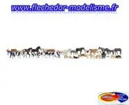 Méga-set économique "Animaux" NOCH