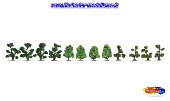 12 arbustes d'ornement NOCH