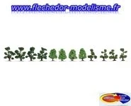 12 arbustes d'ornement NOCH