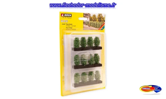 12 thuyas de 3 cm de hauteur NOCH
