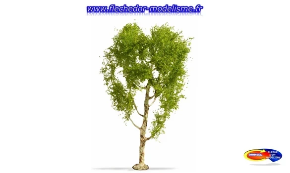 Bouleau pubescent 21 cm de hauteur NOCH