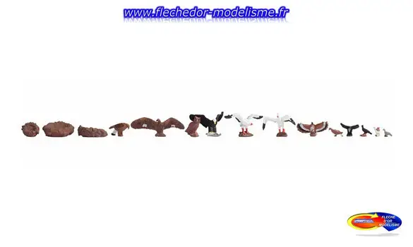 Oiseaux de proies et cigognes NOCH