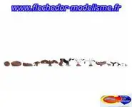 Oiseaux de proies et cigognes NOCH